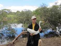 Egret released after being rehabilitied at Minton Farm