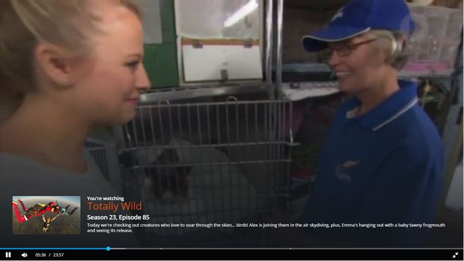 Watch this video to see how Minton Farm helps injured Tawny Frog Mouth Owls